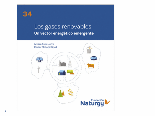 Webinar de apresentação do livro 'Los gases renovables: un vector energético emergente'