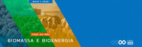 Hub de Energia contribui com o impulsionamento do setor de Biomassa e Bioenergia