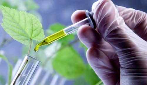 7 ideias de negócios em biotecnologia